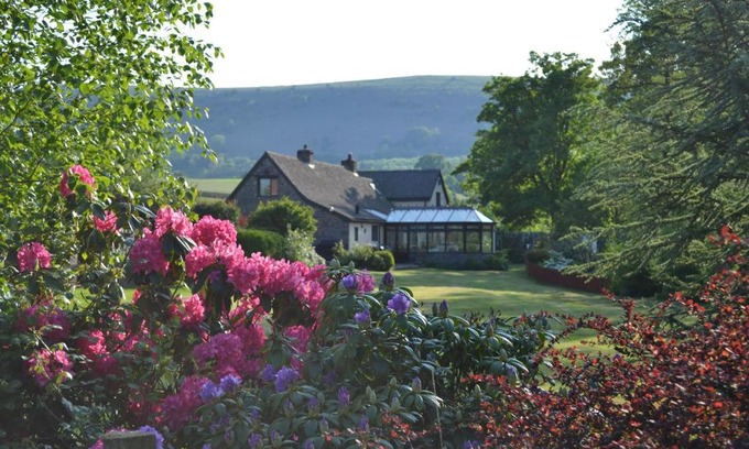 Llanvihangel Crucorney Bed & Breakfast | Trout Cottage B&B