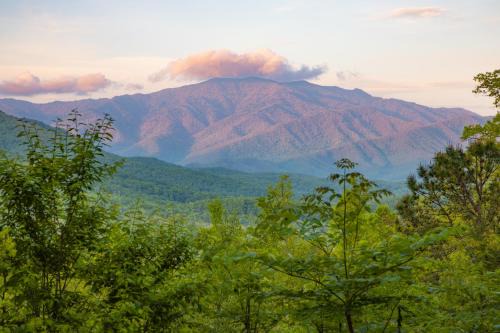 Gatlinburg - Pigeon Forge Ski Chalet | True Log Cabin With Stunning Views, Hot Tub, Sauna