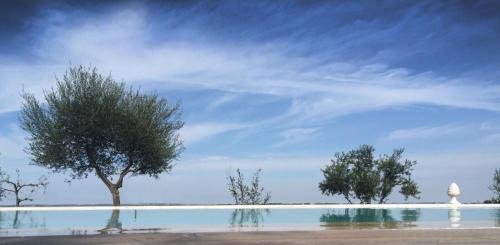 Alberobello Bed & Breakfast | Trulli Resort