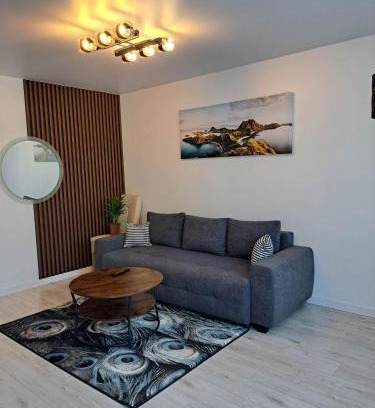 Siauliai City Center Apartment | Trumpalaikė apartamentų nuoma centre (Vytauto g.)