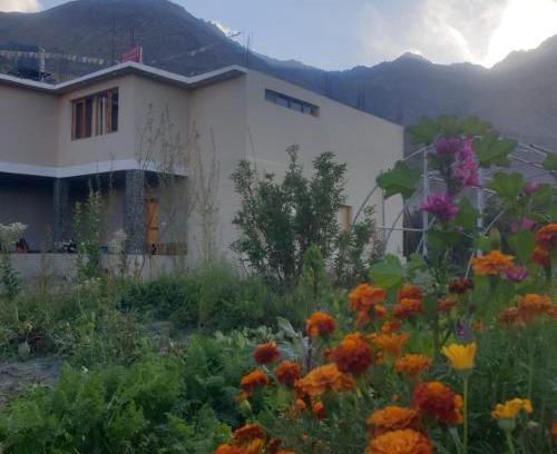 Diskit Hotel | Tsogstot residency