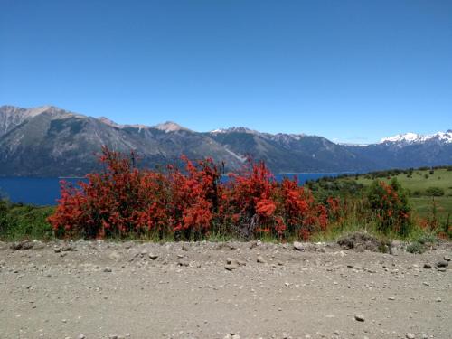 Lanin National Park Apartment | TU RINCON EN LA PATAGONIA