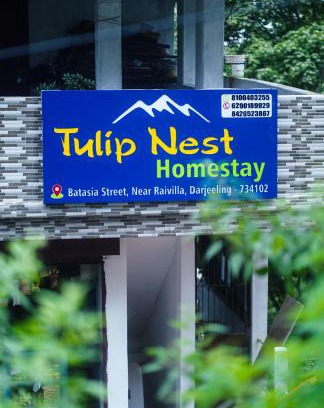Darjeeling House | Tulip Nest Homestay