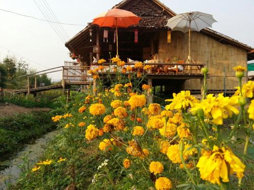 Pai Resort | Tulip Resort Pai