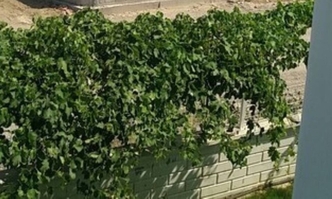 Dalaman Villa | TURKISH LAVANTA VİLLAS1