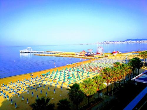 Durres Apartment | Turtle Apartment