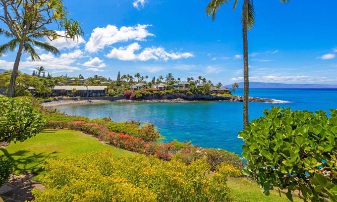 Napili Condo | TURTLE COVE CABANA! Big Ocean Views! Napili Point
