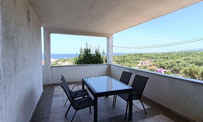 Lun Apartment | Two bedroom apartment with terrace and sea view Lun, Pag (A-24796-b)