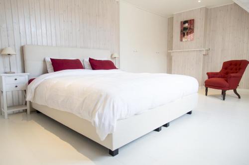 Ieper House | Two White Pigeons