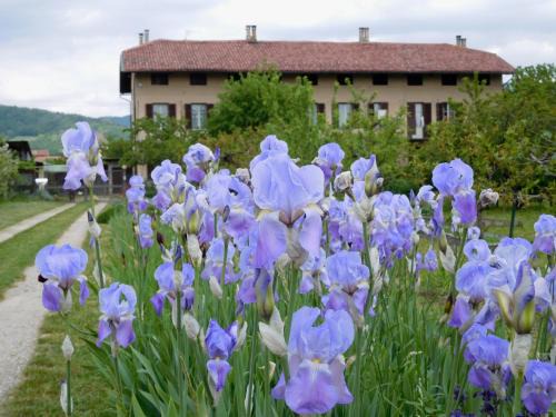 Cumiana Bed & Breakfast | U Tej
