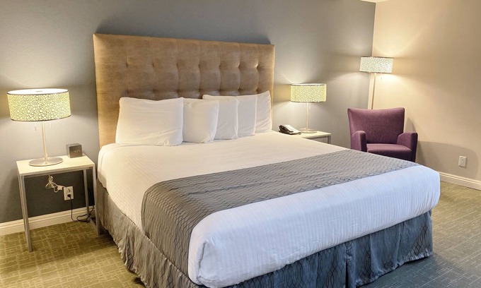 Torrance Hotel | Ultimate SoCal Getaway Starts Here | Proximity Near the 405, 110, & 91 Freeways