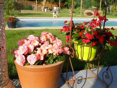 Villepinte House | Un bouquet de Tangissart