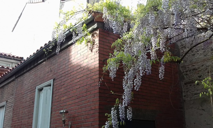 Minimes - Barriere de Paris House | Une Véritable Toulousaine Spacieuse Avec Jardin Dans le Centre de Toulouse!