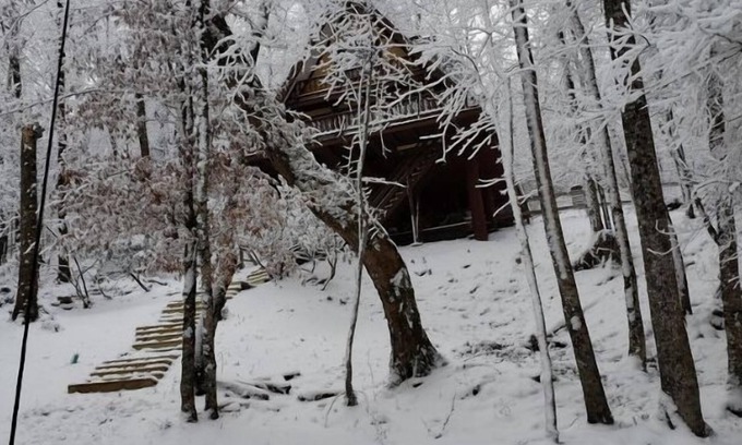 Beech Mountain Cabin | Unforgettable Dreams