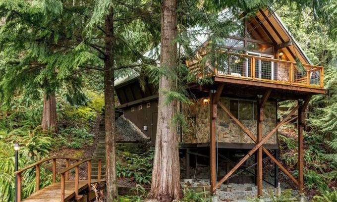 Sedro-Woolley Ski Chalet | Unique Alpine Chalet