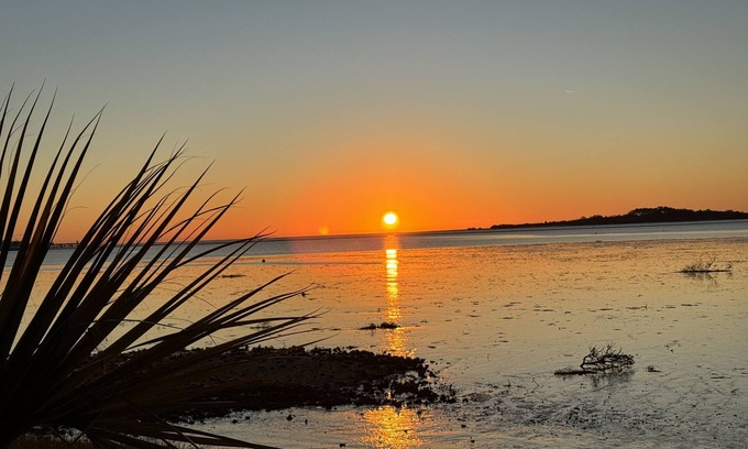 Cedar Key Apartment | Unique water front paradise. Abundant wildlife and old florida personality .