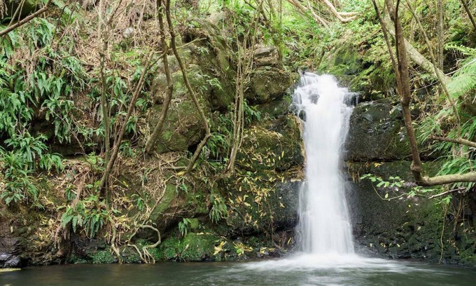 Little River Cottage | Unwind and relax amongst stunning native bush