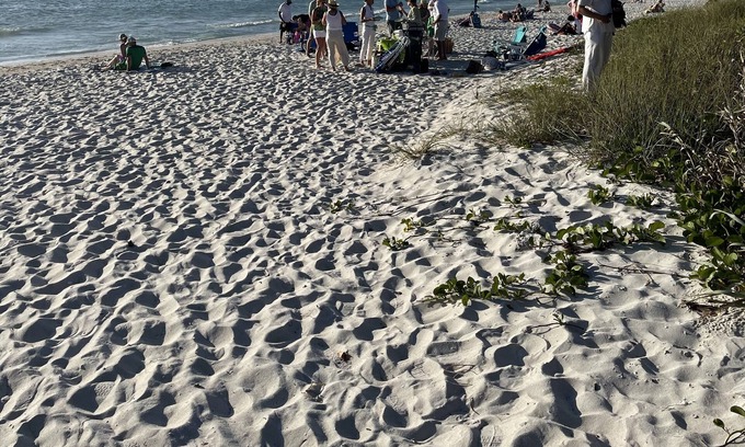 Naples Park House | Updated , Walk-Beach, New Paint, Fence, Sod, Patio BBQ, Fire Pit,- Dog friendly!