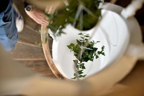 Dansaert Bed & Breakfast | Urban Walls