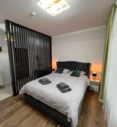 Piatra Neamt Apartment | Uve Residence & Spa