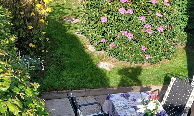Bad Fallingbostel Apartment | Vacation apartment Lüneburg Heath/Allertal - terrace/garden, heath park, bird park