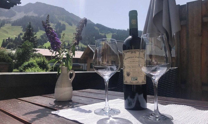 Oberjoch Apartment | Vacation apartment 2-4 persons - balcony (Tyrol) - Haus Alpenblick