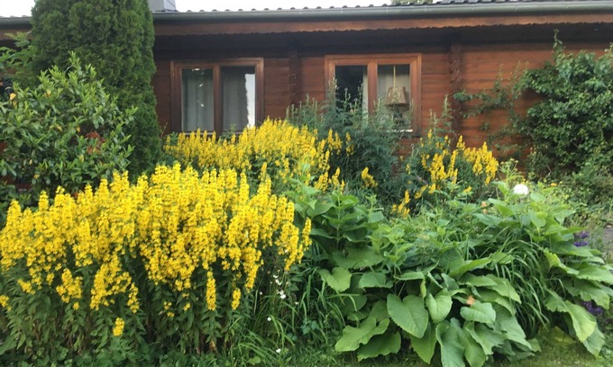 Edertal House | Vacation apartment Anika - Holiday apartments Finnish log cabin