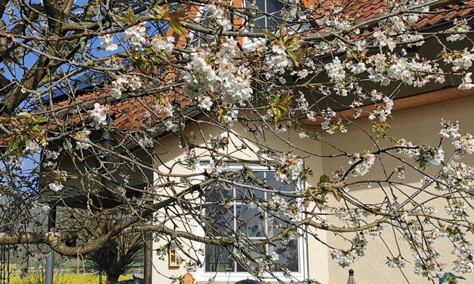 Edertal Apartment | Vacation apartment Auszeit am Nationalpark