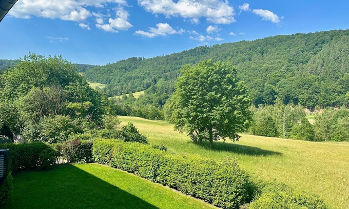 Laddeken Apartment | Vacation apartment/apartment for 2 guests with 55m² in Langelsheim (297516)