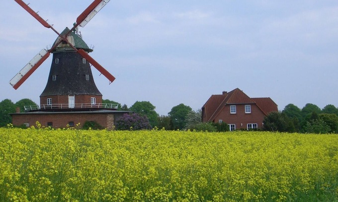 Neubukow Apartment | Vacation apartment to the windmill - 11 KW Wallbox