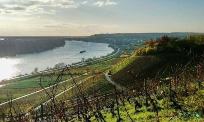Mainz-Bingen Apartment | Vacation apartment Uhrturm