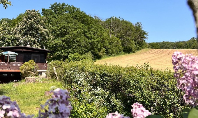 Neustadt/Harz House | Vacation cottage Neustadt Harz