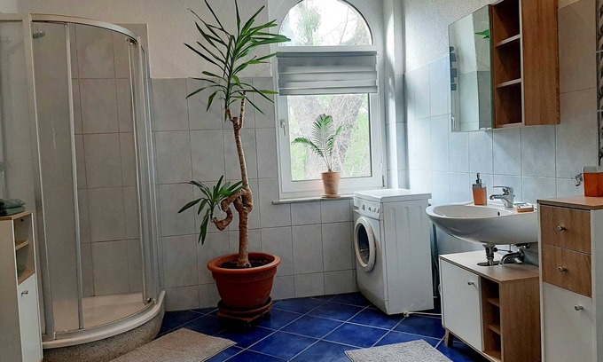 Lutherstadt Wittenberg Apartment | Vacation apartment at the Stadtpark Rosenblüte - Ferienwohnungen am Stadtpark