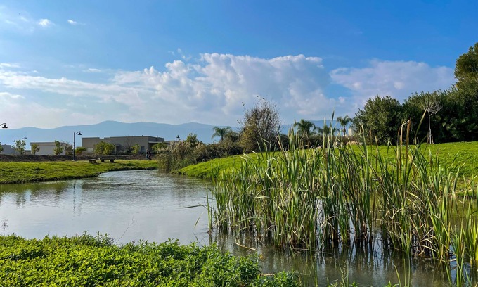 HaGoshrim Apartment | Vacation home at kibbutz Hagoshrim, 5 min walk the river