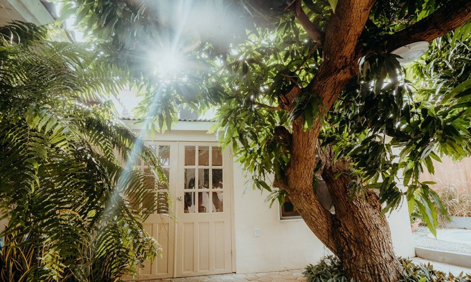 Willemstad Apartment | Vacation Under the Mango Trees
