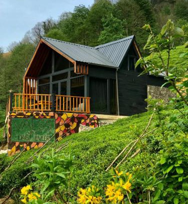 Ayder Resort | VAESS Villa Dağ Evleri