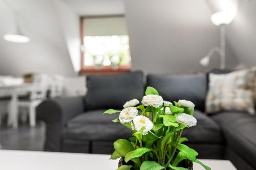 Municipality of Oudewater House | Vakantieappartementen centrum Oudewater