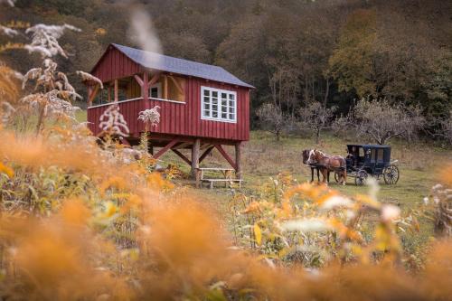Cund Hotel | Valea Verde Retreat Transilvania