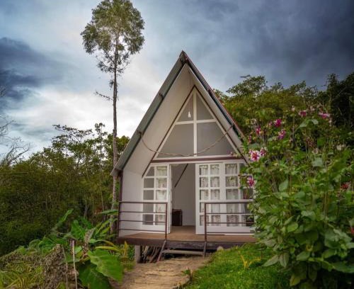 Cuispes Other | Valle Yumbilla Yacu