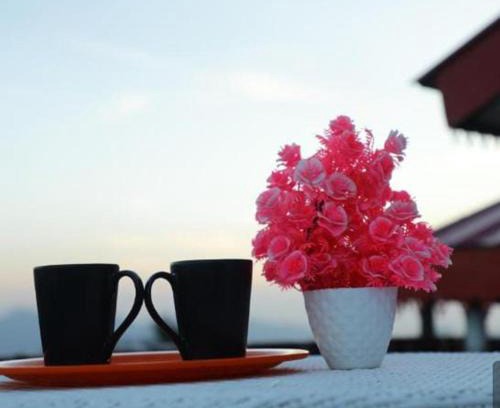 Shimla House | Valley Gulmohar Homestay