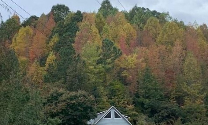 Sevierville Ski Chalet | Valley View / Chalet in the Smokies