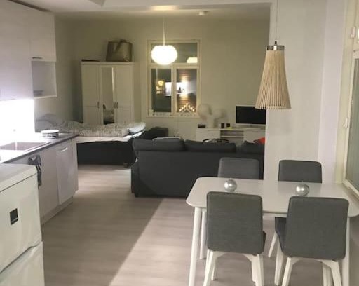 Rauma Apartment | Valoisa avara yksiö loistavalla sijannilla