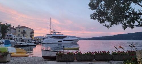 Valun Apartment | Valun Seaside Apartments