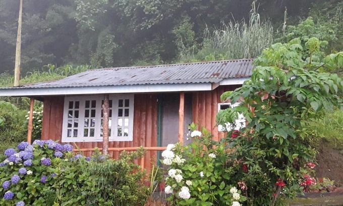 Geyzing House | Vamoose Red Panda