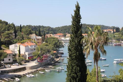 Cavtat Apartment | Vanda Seafront Fantastic