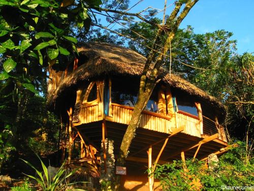 Taiarapu-Ouest House | Vanira Lodge