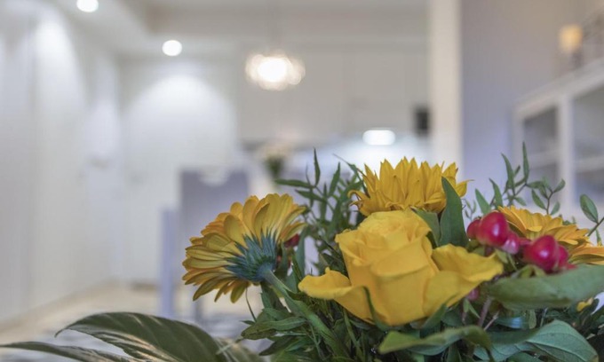 Rovaniemi Apartment | Vasko luxurious suites, Vasko