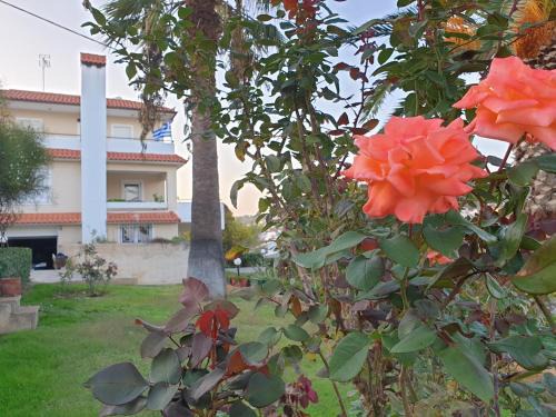 Markopoulo Mesogaias Apartment | Vaso's country house near the beach and airport