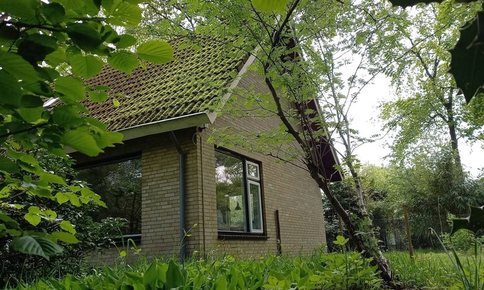 Rotbrink House | Vechtdal cottage 17 with fenced backyard. Your pet is most welcome!