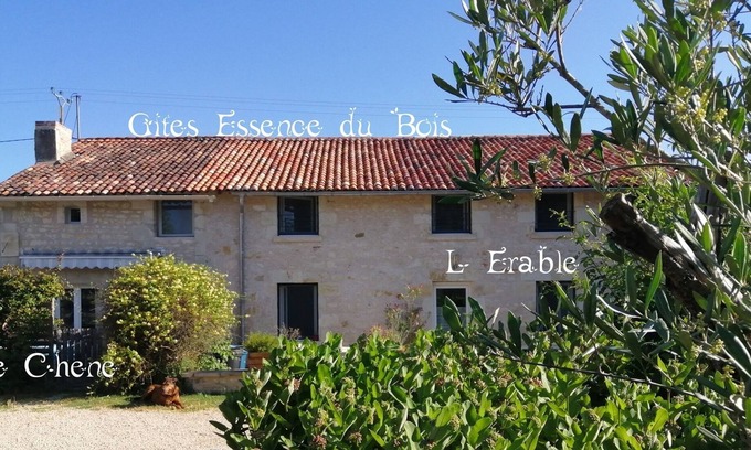 Vendeuvre-du-Poitou Cottage | Very nice gîte for 10 people 8 mins from Futuroscope